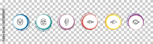 Foto outline animals icons set - lion head, deadlock, flamingo, flounder