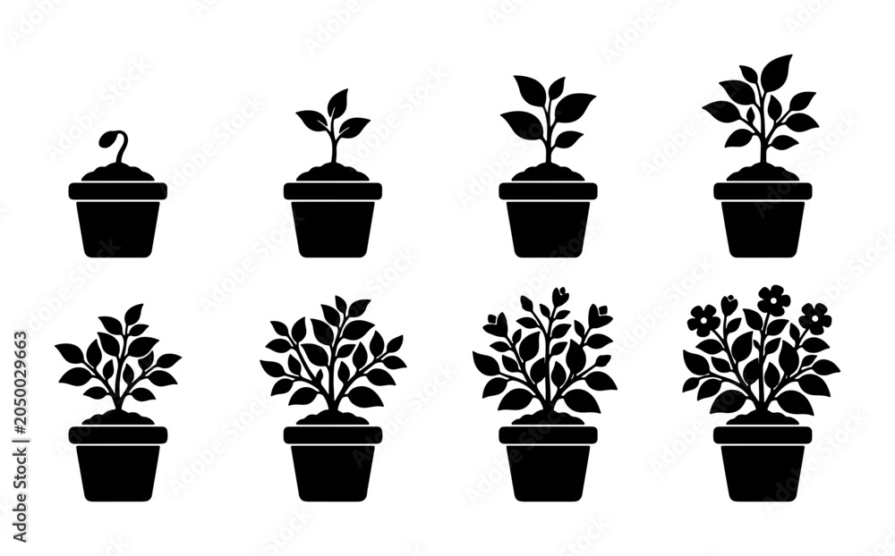 Fototapeta premium Plant Growth Stages Icons, Seedling to Blooming Flower Pot Vector Set, Black Silhouette Botanical Development Collection