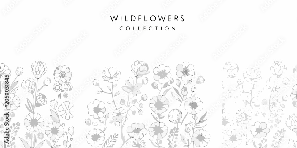 Obraz premium Wildflower Collection Delicate Watercolor Illustration On White Background