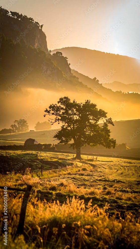 Obraz premium Serene Landscape with Tree and Mountains at Sunset.