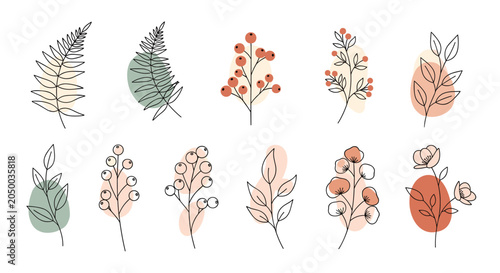 Elegant collection of hand drawn leaves and floral branches with soft colorful background shapes for modern minimalist botanical designs.