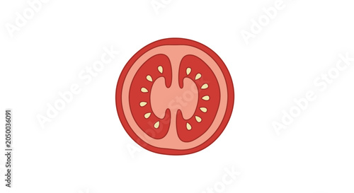 Fresh tomato slice with seeds and pulp, red vegetable cross-section, healthy organic food ingredient, juicy summer fruit circle.