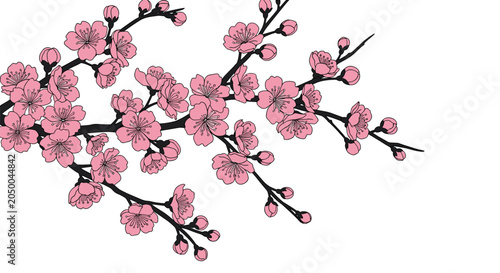 Delicate cherry blossom branch with multiple pink flowers and small buds in an elegant hand drawn sketch style for spring theme.