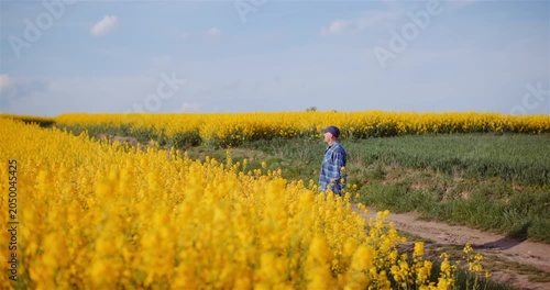 Lone person in blooming yellow flower field under clear blue sky
