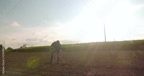 Backlit person working in a rural cultivated field at sunrise