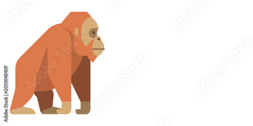 Bild auf Leinwand Orangutan primate wild animal side profile with orangutan wildlife illustration