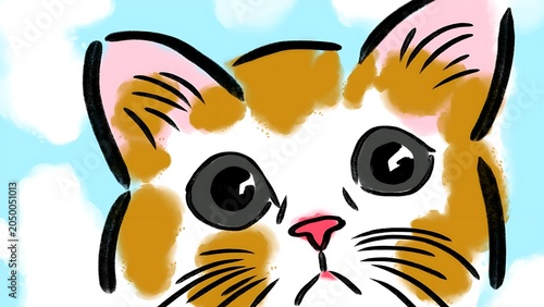 funny cartoon cat