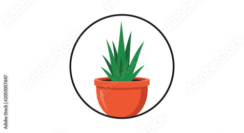 Green aloe vera plant in an orange ceramic pot depicted within a circular frame for botanical and wellness themes.
