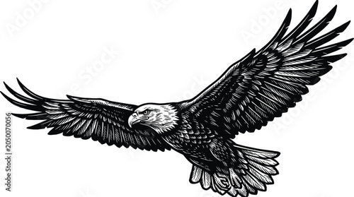 Bild auf Leinwand Flying bald eagle woodcut style illustration of majestic bird of prey with open