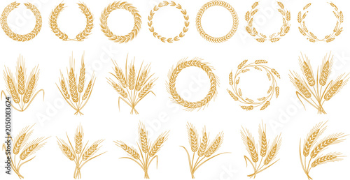 Tableau sur toile Wheat Ears and Barley Wreath Vector Set Featuring Golden Agriculture Sheaves and