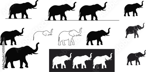 Schilderij op canvas Elephant vector silhouette and outline collection featuring different walking an