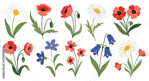 Obraz na plátně Colorful flowers set with leaves and stems