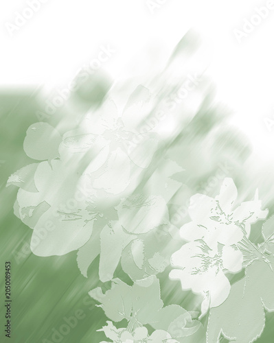 
Watercolor graphic floral print. Hand-drawn author's graphics. Apple, plum, apricot, peach flowers on a branch. The scent of spring and flowers.
Art background, pattern. Unique print for design