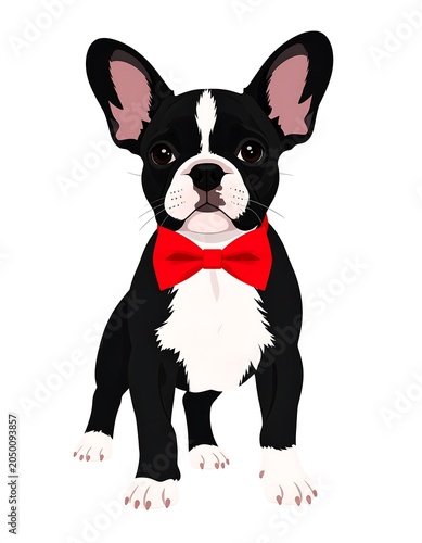 A cartoon Boston Terrier with a red bow tie and white markings