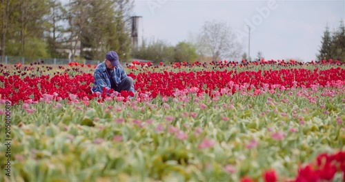 Man crouching in a blooming flower field