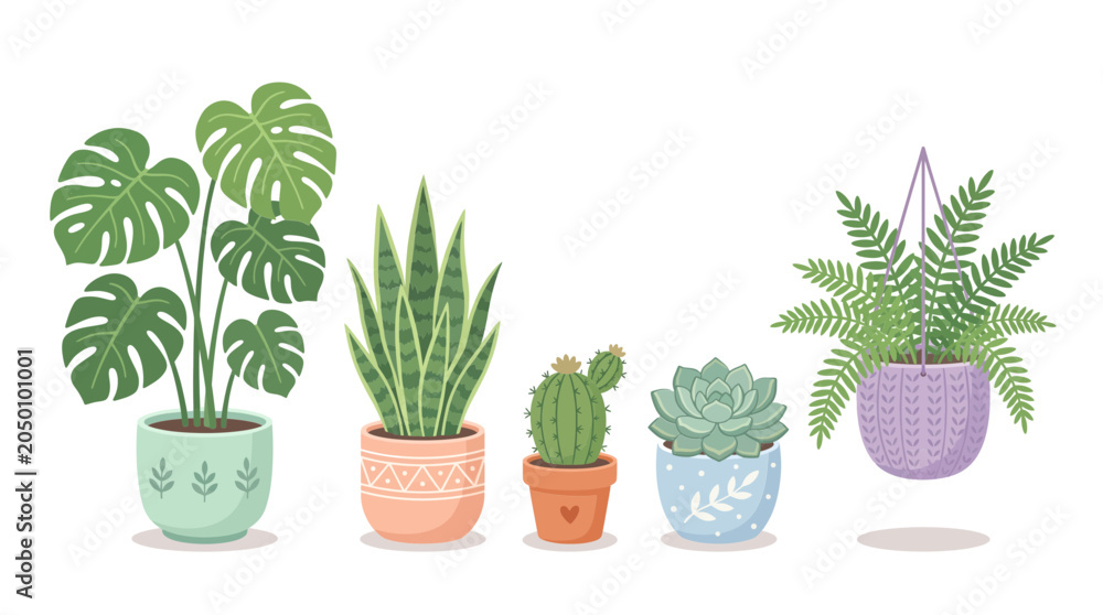 Fototapeta premium Collection of Potted Houseplants in Various Decorative Pots.