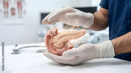 Pancreatic health model, gloved hands protect organ: A detailed model of a human pancreas, cradled within gloved hands, surrounded by subtle glowing particles.