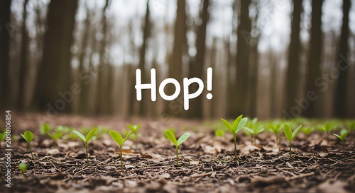 New green shoots growing in forest soil with hop encouragement