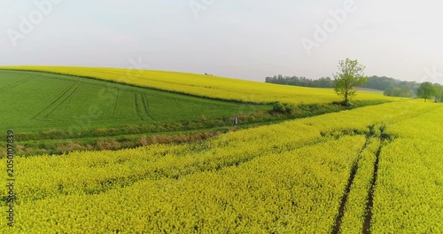 Rolling rural hills with green and yellow farmland