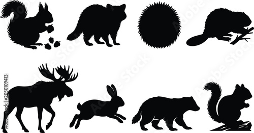 Photography Forest wildlife animals silhouette vector set featuring squirrel raccoon hedgeho