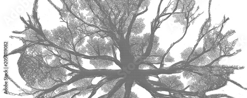 Quadro su tela A large tree with sprawling branches and roots stands alone in a desolate landscape