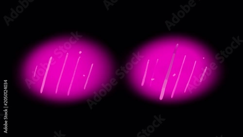 Effect of cuteness and shyness on a black screen. Animation of pink cheeks for overlay in 4K with alpha channel. Effect of a shy and awkward person in anime style.