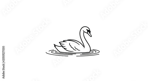 Swan floating on water surface calmly.