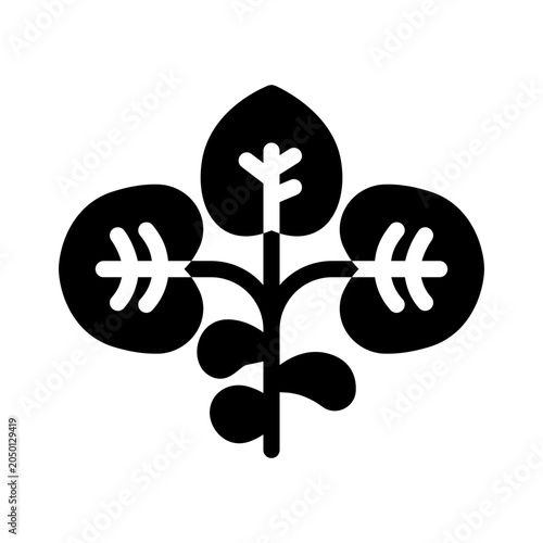 watercress solid icon illustration vector graphic.eps