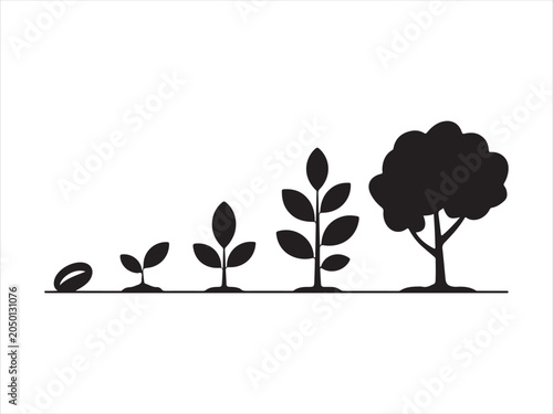 Canvastavla Growth stages of a tree from seed to maturity silhouette collection vector isola
