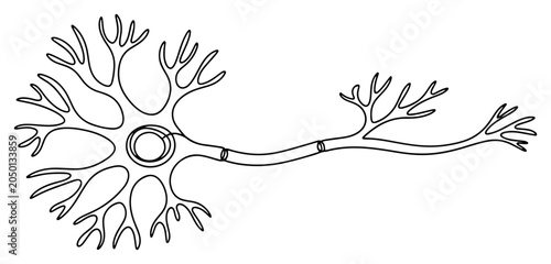 Neuron nerve cell biological anatomy minimalist continuous one line drawing