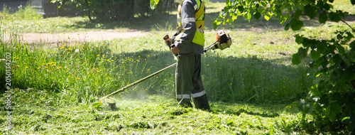 Grass is mowed by municipal services in the city.