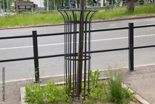 Protection of newly planted trees.