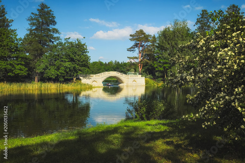 The Humpback Bridge in Gatchina after restoration, a sunny summer afternoon.