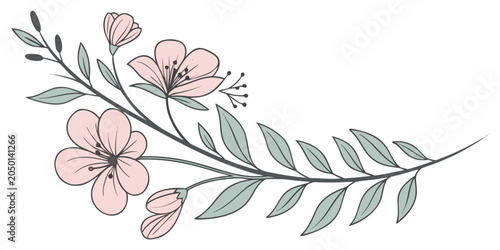 Delicate pink flower sprig illustration with green leaves and floral buds in a hand drawn botanical line art style for web graphics and stationery design botanical illustration
