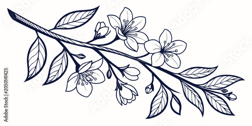 Hand drawn botanical illustration of a flowering tree branch with detailed petals and leaves in minimalist line art style botanical illustration minimalist decorative artistic