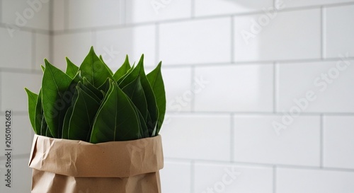 A close-up view of a plant with green leaves wrapped in brown paper on a white tiled background with natural indoor lighting.