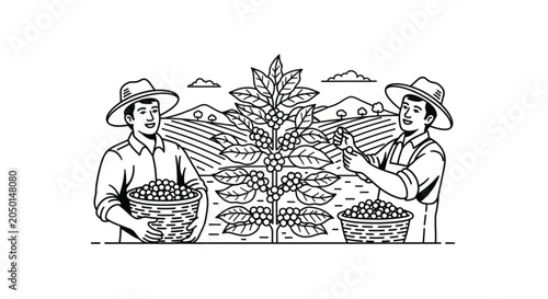 Two men harvesting coffee beans outdoors.