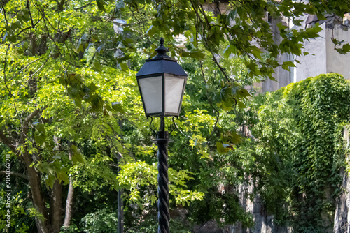 street lamp in the park among the trees, background