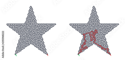 Star-shaped maze puzzle with solution path illustrated  