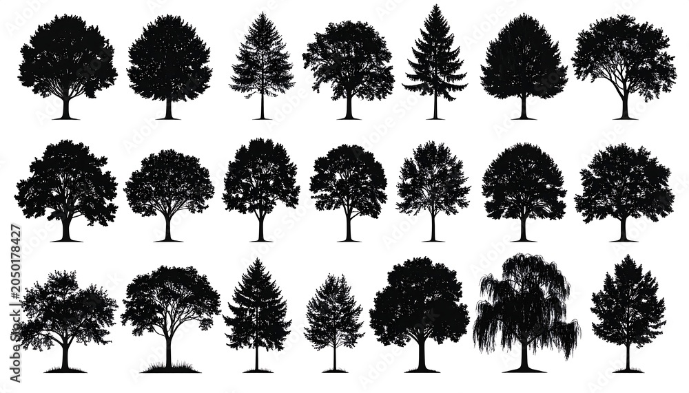 Fototapeta premium A collection of 20 various tree silhouettes in three rows