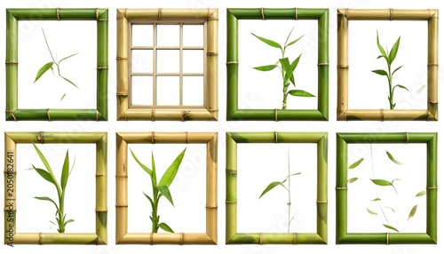 A collection of eight bamboo-framed pictures showcasing various green leaves on a white background