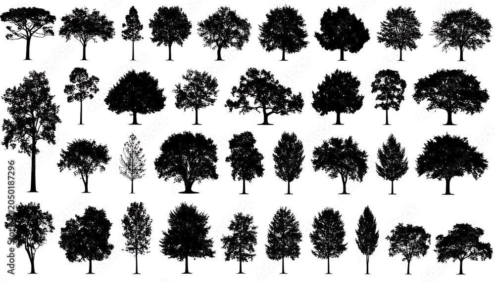 Fototapeta premium A collection of thirty-two black tree silhouettes on a white background