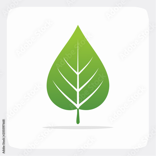 Green leaf icon with veins