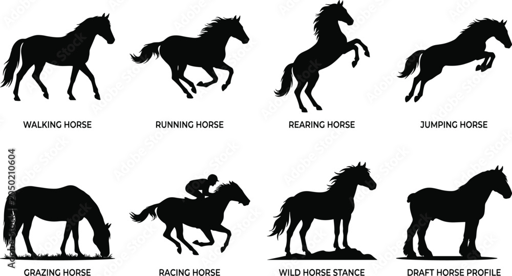 Obraz premium Horse Silhouettes Vector Icons Set with Walking Running Rearing Jumping Grazing Racing Wild and Draft Horses