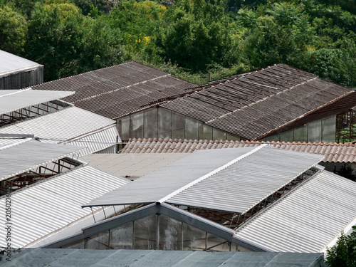 Glass and fiberglass greenhouse roofs in a green area