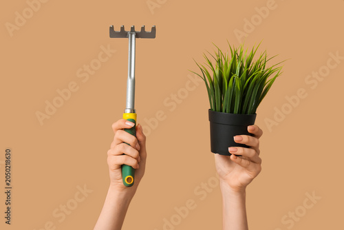 Female hands with potted pl...