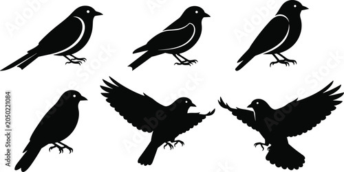 Photos Black small bird silhouette set with perched and flying songbirds isolated on wh