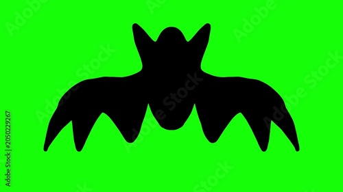Hand Drawn Cartoon Bat Flying Loop Animation on Green Screen for chroma key | Seamless Alpha Matte Wildlife Silhouette Motion Background
