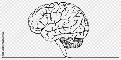 Brain continuous one line drawing, Human brain continuous one line drawing concept of Hand drawn minimalism style. one line Icon drawing with white background, One continuous line of brain drawing pen