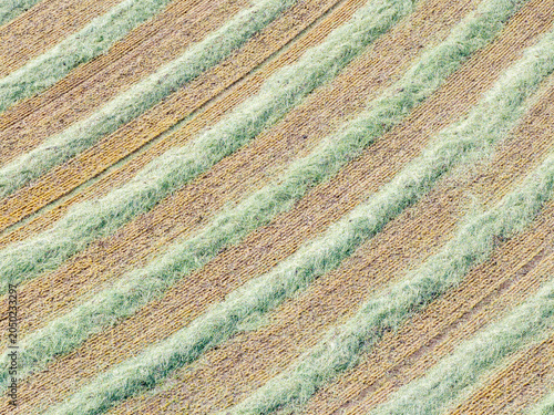 Alternating green and brown crop rows span the field